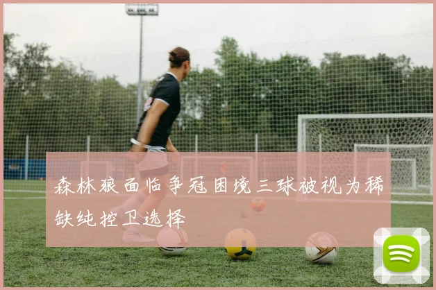 森林狼面临争冠困境三球被视为稀缺纯控卫选择