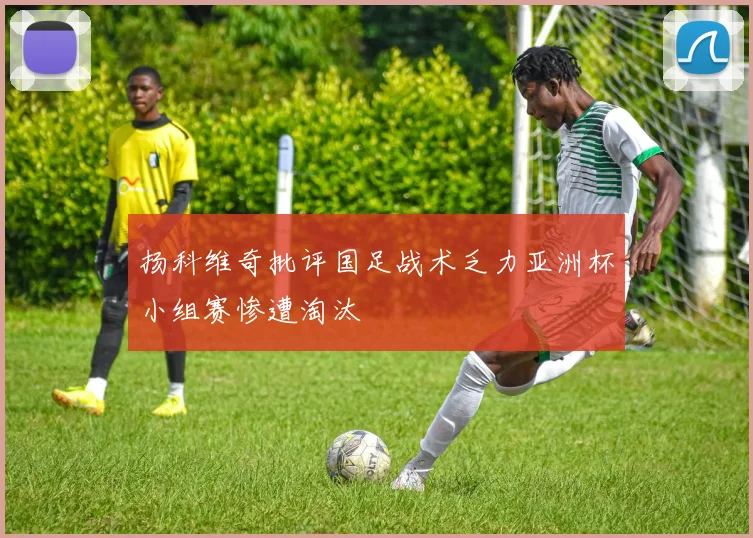 扬科维奇批评国足战术乏力亚洲杯小组赛惨遭淘汰
