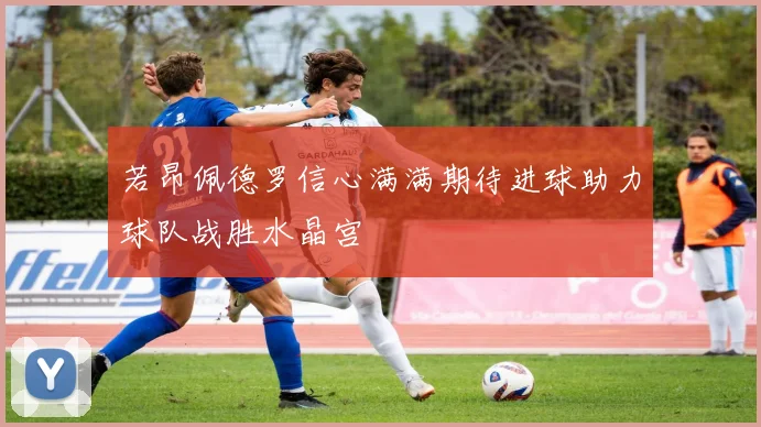 若昂佩德罗信心满满期待进球助力球队战胜水晶宫
